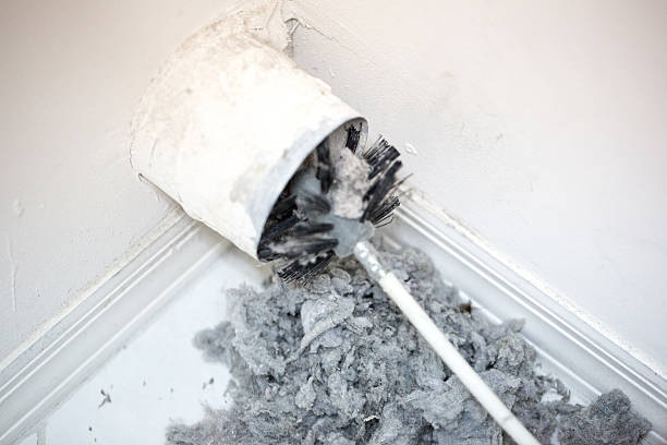 Best Ductwork Cleaning Services  in Annapolis, MD
